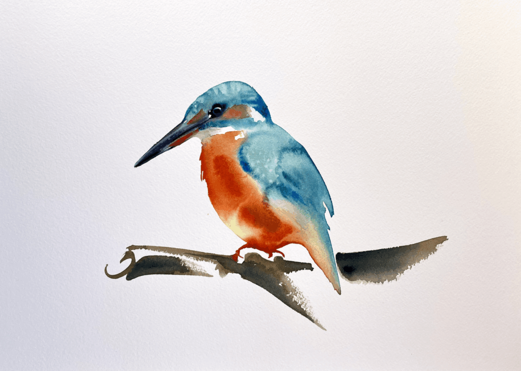ijsvogel aquarel