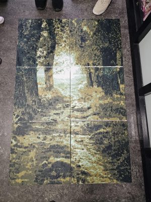 landschap met projector