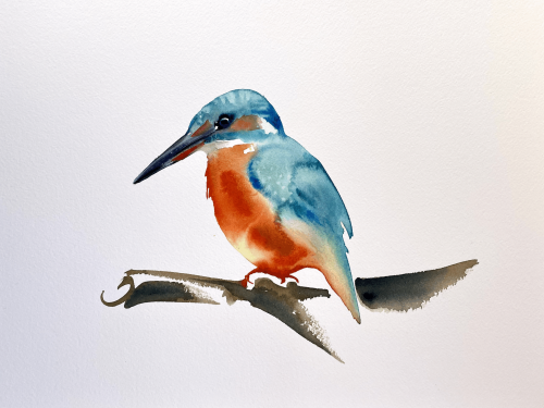 ijvogel in aquarel ijsvogel aquarel