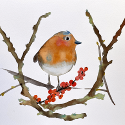 vogel aquarel
